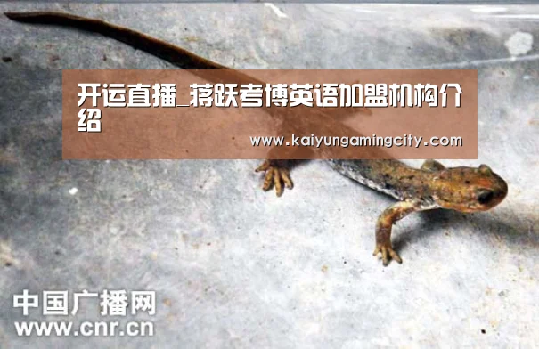 开运直播_蒋跃考博英语加盟机构介绍(图1) 开运竞猜