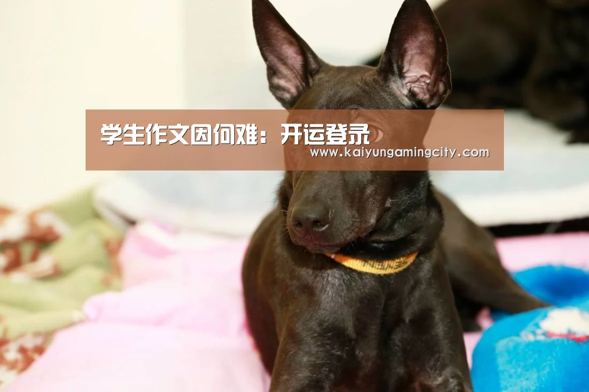 学生作文因何难:开运登录(图4) 开运竞猜