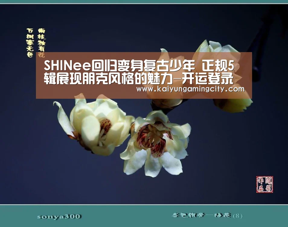 开运竞猜