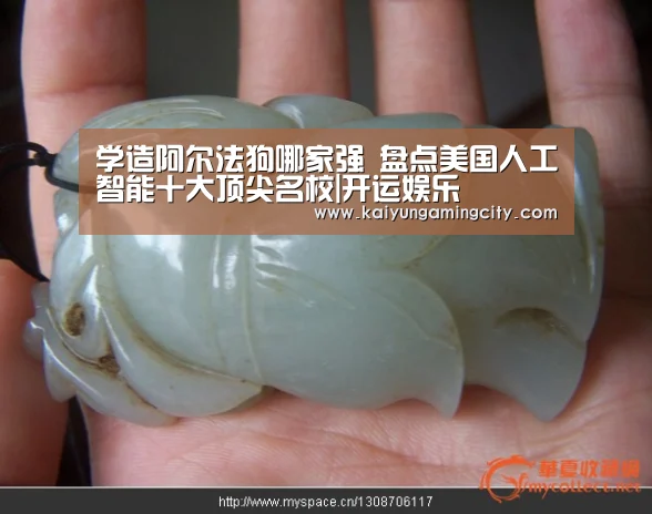 学造阿尔法狗哪家强 盘点美国人工智能十大顶尖名校|开运娱乐(图3) 开运竞猜